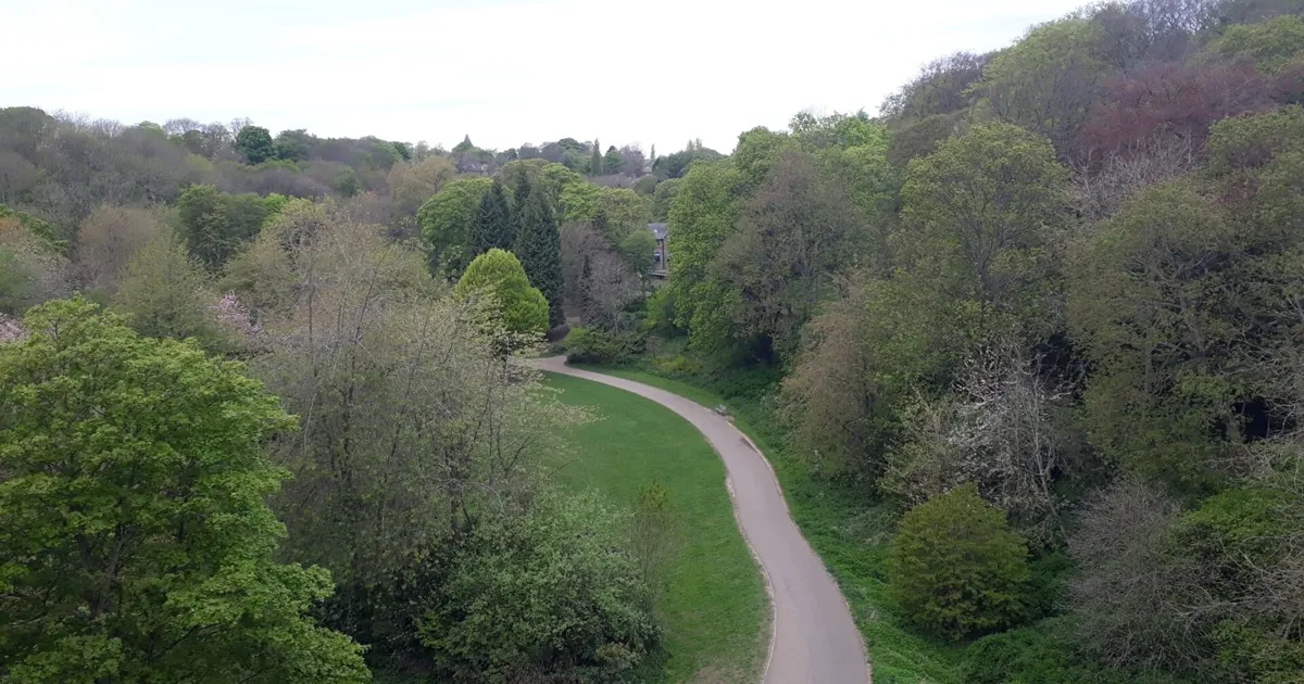 Jesmond Dene in Newcastle.