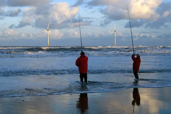 Wind turbines off the coast at Blyth.
